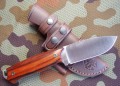 chacal_bush_cocobolo9.JPG