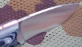 chacal_mini4.JPG