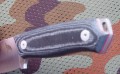 chacal_mini6.JPG