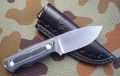 chacal_mini7.JPG