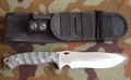 scorpion1.JPG