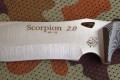 scorpion5.JPG