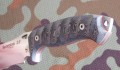scorpion8.JPG