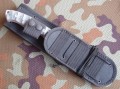 scorpion10.JPG