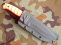 scorpioncz10.JPG