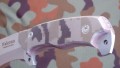 falcran8.JPG