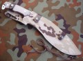 falcran11.JPG