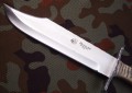 bowie_bone3.JPG