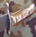 bowie_bone6.JPG