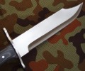 bowie_micarta4.JPG