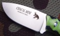 chacal_mini_reptil3.JPG
