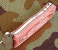 chacal_mic_orange5.JPG