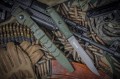 wektorAUS8olive4.jpg