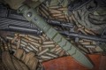 wektorAUS8olive5.jpg