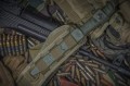 wektorAUS8olive9.jpg