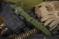 wektor420olive2.jpg