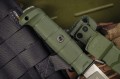 wektor420olive5.jpg