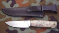 sokolM398_2.JPG