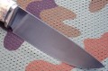 sokolM398_4.JPG