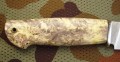 sokolM398_7.JPG