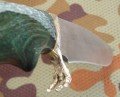 skif_graw_dino8.JPG