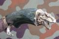 skif_graw_dino9.JPG