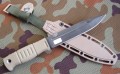 witjaz_desert8.JPG