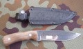 strepet2_1.JPG
