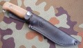 sycz9.JPG