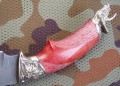 korsar_graw_dino6.JPG