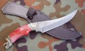 korsar_graw_dino8.JPG