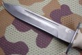 NR43_U8_olive3.JPG