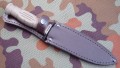 NR43_U8_olive8.JPG