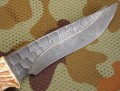 galeon_dmst_bone4.JPG