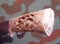 galeon_dmst_bone8.JPG