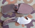 krab1.JPG