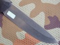 stepnoj4.JPG