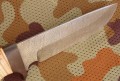 lord_dmst_kora4.JPG