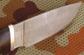 razdielocznyj_dmst_kora4.JPG