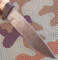 zwiadowca_dmst_kora_grab4.JPG