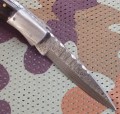 albainox_dmst_scyz18746_4.JPG