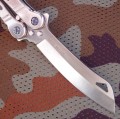 tokisu02173_4.JPG