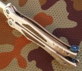 tokisu02173_6.JPG