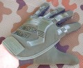 glove_rub_olive1.JPG