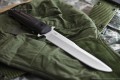 Trident_AUS-8_2.jpg
