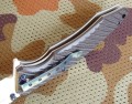 tokisu18322_6.JPG