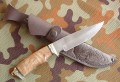 legion_dmst_kap_graw9.JPG