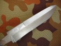 tajga_bulat4.JPG