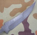 kirpan_dmst4.JPG