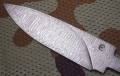 murena_dmst3.JPG
